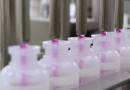 Tecpar fornecerá 26 milhões de doses da vacina antirrábica veterinária ao governo federal