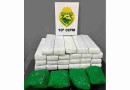 Adolescente é apreendida com mais de 20kg de drogas na BR-277