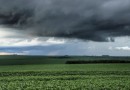 Inmet emite alerta de perigo de tempestade para 199 municípios do Paraná; veja lista