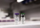 Paraná recebe primeiro lote de vacinas contra a dengue para atender 30 municípios