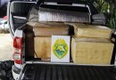 Polícia de Barracão apreende carga de camarão ilegal transportada em caminhonete
