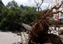 Comunidades criam soluções para mitigar efeitos da crise climática