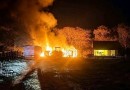 Incêndio destrói curral e mata gado e suínos em propriedade rural