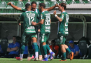 Chapecoense busca empate com o Bahia em jogo de seis gols na Arena Condá