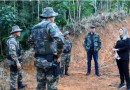 Mais de 280 hectares recebem multas de R$ 2,7 milhões por desmatamento ilegal da Mata Atlântica