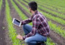 Envelhecimento da mão de obra rural preocupa setor e desafia sucessão no campo