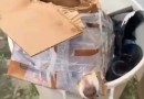 Cachorro é encontrado preso em caixa dentro de lixo em Guarapuava
