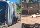 Caminhão carregado com porcos tomba na BR-280