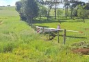 Planador cai perto de aeroporto em Getúlio Vargas, no Norte do estado