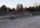 Nova geada e temperaturas de -2° C em Palmas