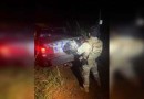Mais de 400 kg de maconha são apreendidos pela PF e PM