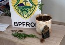 BPFRON apreende adolescente com pés de maconha, em Santo Antônio do Sudoeste