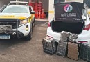 Quase 100 quilos de maconha são apreendidos após perseguição