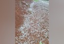 Granizo e chuva forte são registados