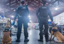 Vinte cães policiais reforçam operações da Polícia Penal do Paraná