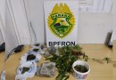 BPFRON prende homem por tráfico de drogas em Realeza