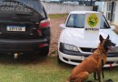 Homem é preso com cocaína durante operação do BPFRON