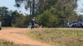Menina de 8 anos morre atropelada por carro na PR-481
