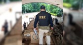 PRF realiza apreensão de grande quantidade de cigarros contrabandeados em Realeza