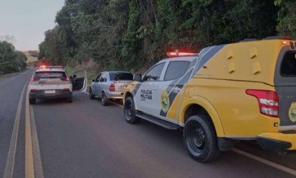Homem é preso após roubo de veículo em Palma Sola