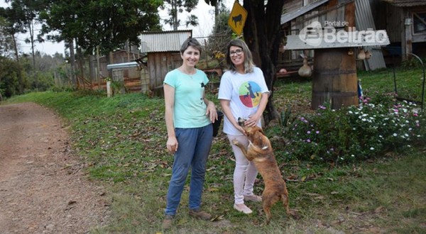 Protetoras da Associação Bem Estar cuidam de mais de 500 animais e contam com a colaboração da sociedade beltronense