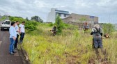 Prefeitura inicia mutirão de limpeza de terrenos baldios