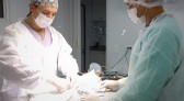 Centro de Zoonoses mantém bom ritmo de castrações