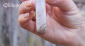Casos de dengue no Brasil aumentam 17,5% em 2023