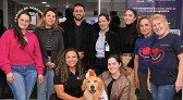 Lei garante cães terapeutas em ambientes de saúde
