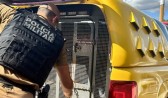 Suspeito de roubo a comércio é preso pela Polícia Militar em Mangueirinha