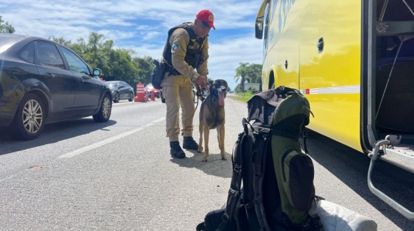 PMPR registra 9,6 mil infrações de trânsito durante o recesso de Ano Novo nas rodovias