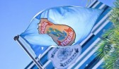 Polícia Federal assume a fiscalização de CAC’s