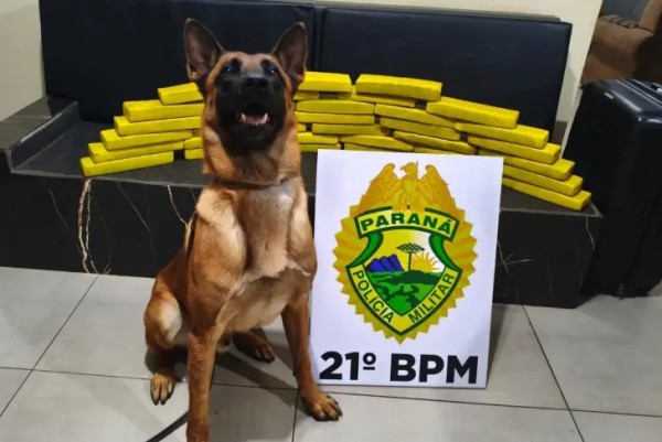 ROTAM apreende mais de 30 quilos de maconha e eletrônicos do Paraguai na Rodoviária