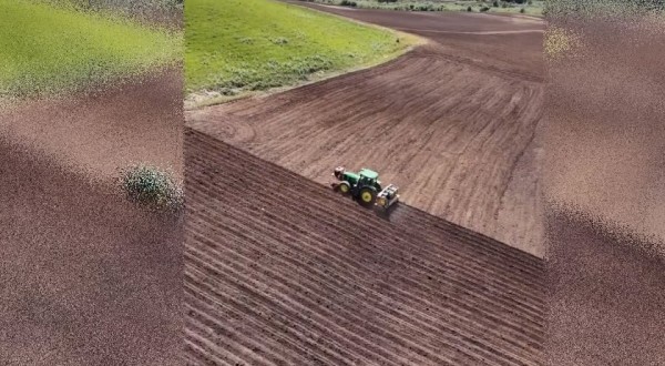 Palmas é destaque em novas tendências na produção de batatas