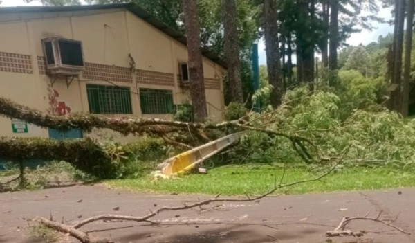 Parque de Exposições é fechado temporariamente após queda de árvores e postes