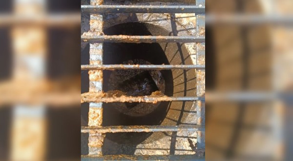 Empresa de soluções ambientais é flagrada cometendo crime ambiental