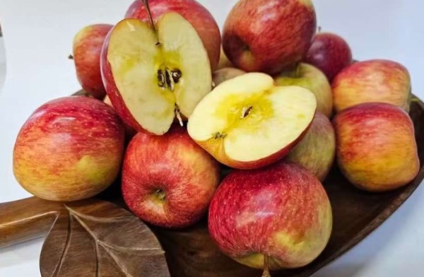 Colheita tardia e frio deixam as maçãs desta safra mais doces