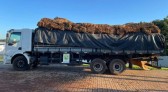BPfron apreende caminhão carregado de fumo