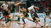 Marreco empata com o Corinthians em São Paulo