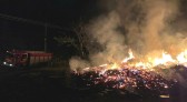 Incêndio em vegetação é registrado no interior de Francisco Beltrão