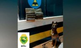 Adolescente é apreendido transportando mais de 13 Kg de maconha em Realeza