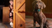 Netflix revela primeira imagem de Scooby-Doo em nova série live-action