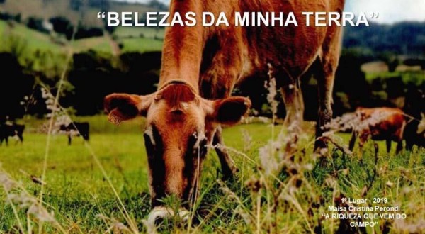 Concurso de fotografias vai premiar os cinco melhores colocados