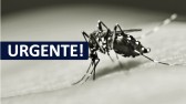 Francisco Beltrão registra mais duas mortes por conta da dengue
