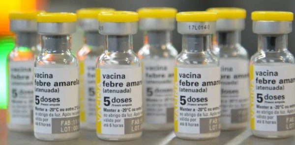 São Paulo confirma primeiro caso de febre amarela em humano em 2025