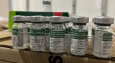 Paraná recebe 332 mil doses da vacina contra a gripe para início da campanha