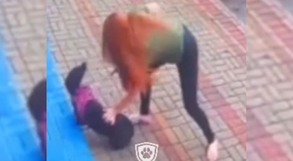 Mulher é flagrada agredindo animal em Francisco Beltrão