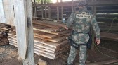 PMA apreende depósito irregular de madeira nativa