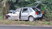 Mulher fica ferida após carro sair da pista e colidir em árvore