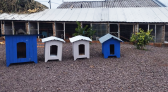 Projeto da Penitenciária inicia construção de casinhas de cachorro com material reciclável